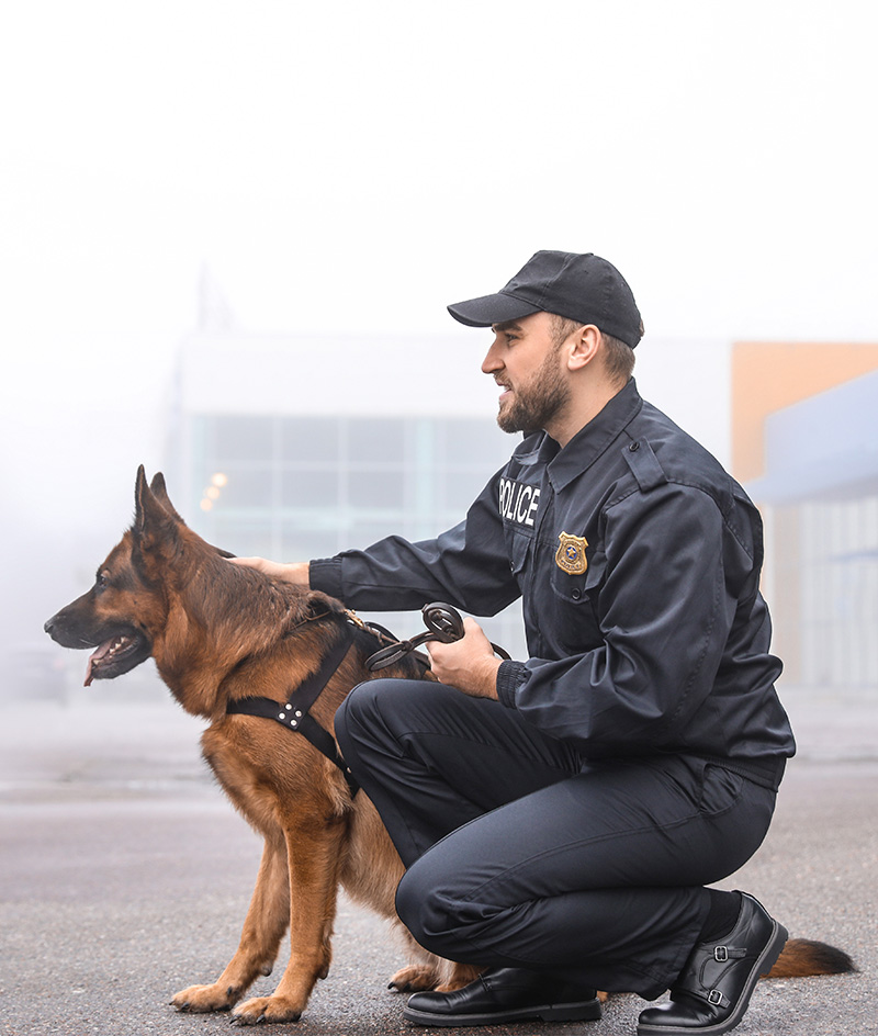 A uniformed police officer kneels on a paved surface beside a German Shepherd police dog, holding the dog’s leash while resting a hand on the dog’s back. The dog sits alertly, facing forward. The scene appears outdoors in a foggy or overcast setting, with modern buildings softly visible in the background, conveying a controlled, professional law‑enforcement environment.